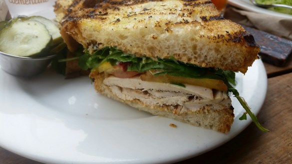 wp-1469412120843 image